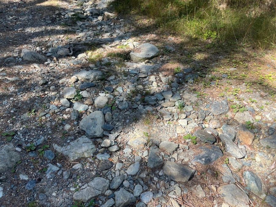 Associazione paraplegici valdostani, 'belle promesse ma il sentiero per disabili di Chevrère a Champdepraz è ancora inagibile'