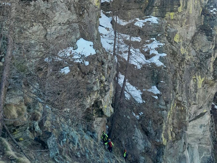 Recuperati sani e salvi dai Vigili del fuoco i due cani dispersi in una zona impervia a Ollomont