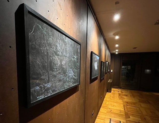 Inaugurata al Castello Gamba la mostra 'Entre chien et loup' di Sophie-Anne Herin