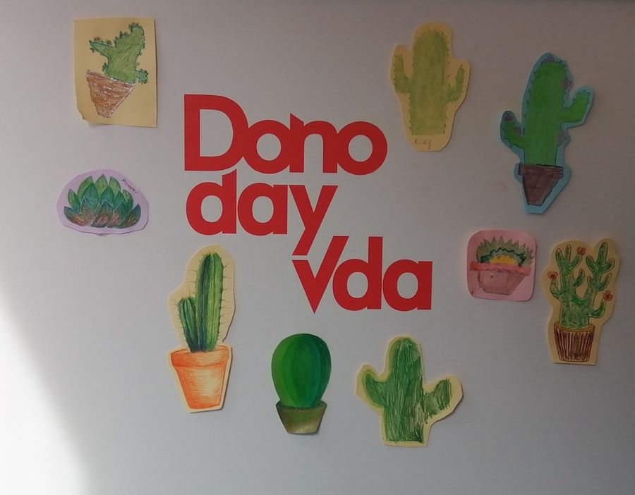 Cactus Film Festival 20023 aspettando il Dono Day (photo credit Roberto Roux) Cactus Film Festival 20023 aspettando il Dono Day (photo credit Roberto Roux)