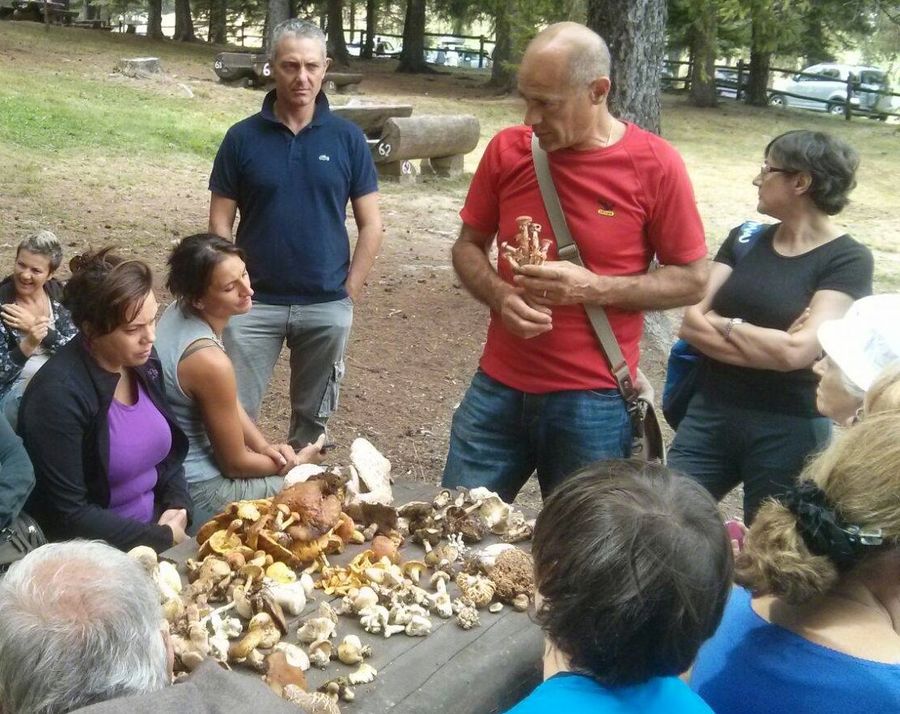 Secondo da dx, con la t-shirt rossa, Cirino Livello durante una 'lezione' di micologia