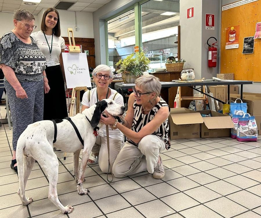 Raccolta alimentare per gatti e cani al Gros Cidac; in campo i volontari de La Zampa VdA Raccolta alimentare per gatti e cani al Gros Cidac; in campo i volontari de La Zampa VdA