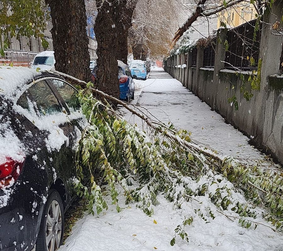 Aosta, attenzione ai grossi rami rotti dal peso della neve