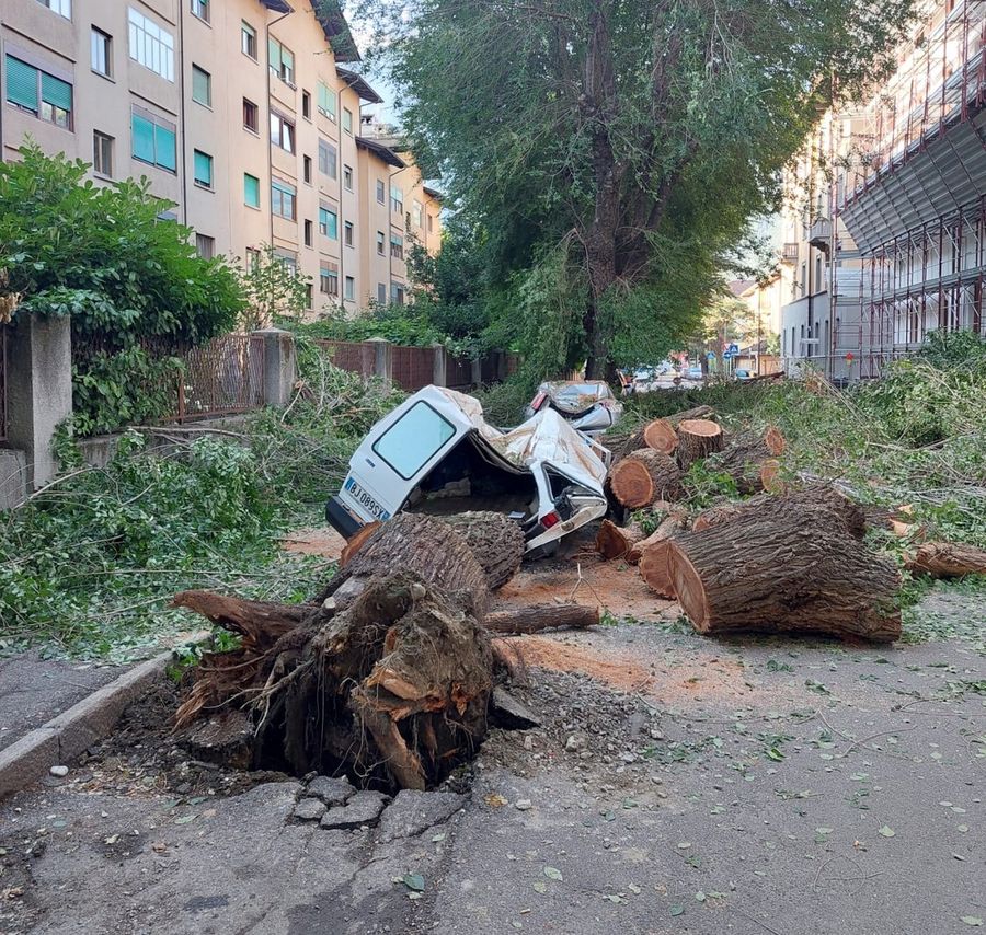 Alberi crollati su auto al quartiere Cogne di Aosta, presto la rimozione e la messa in sicurezza