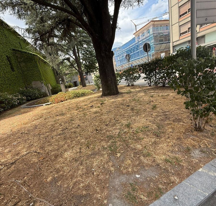 Aosta, il verde pubblico boccheggia: erba secca nei prati e aiuole abbandonate Aosta, il verde pubblico boccheggia: erba secca nei prati e aiuole abbandonate
