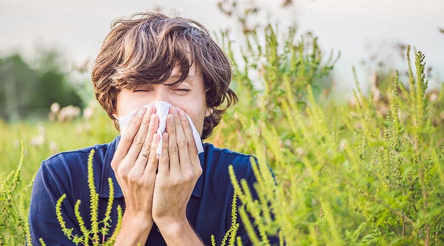 Affrontare le allergie con il Th2 e i probiotici