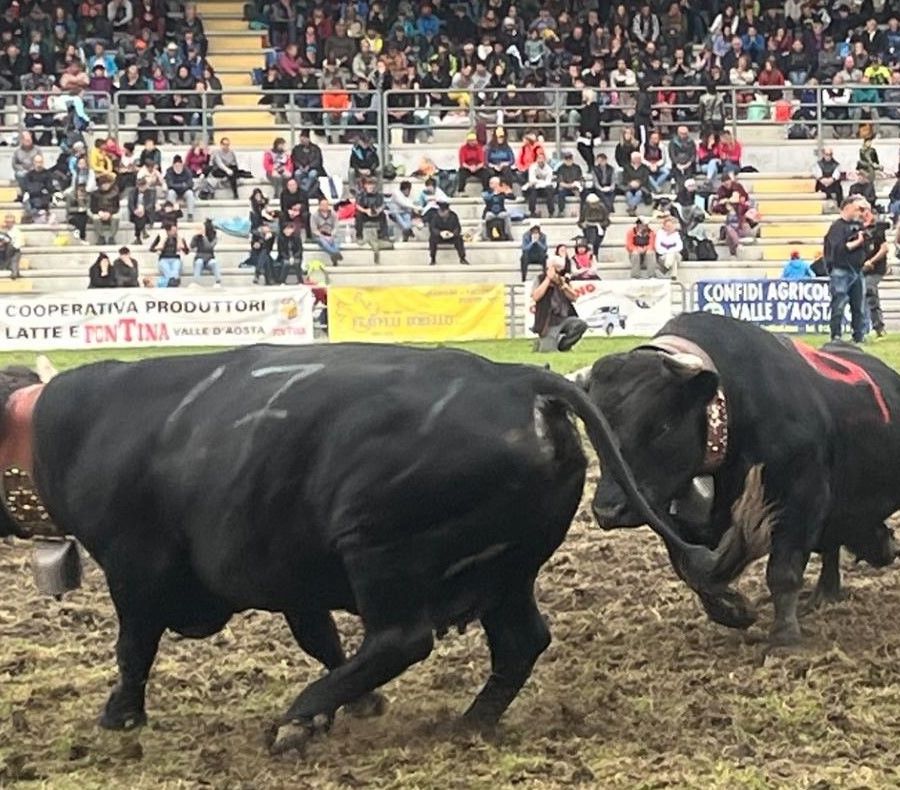 Suisse mette in fuga un'avversaria