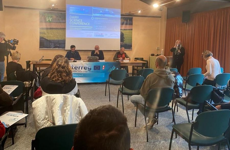 Un momento della conferenza stampa