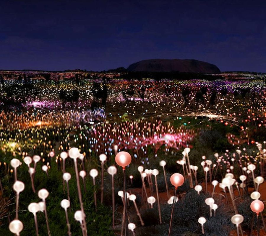 'Field of Light', Bruce Munro (1959)