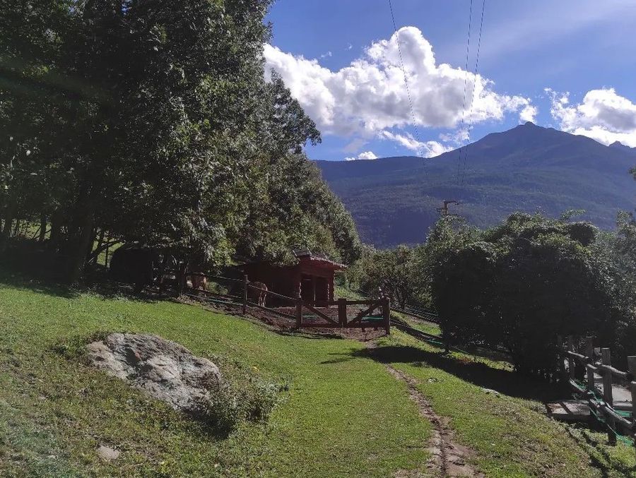 Nasce fra i boschi sopra Chatillon 'Il giardino di Lorenzo' per bimbi e adolescenti