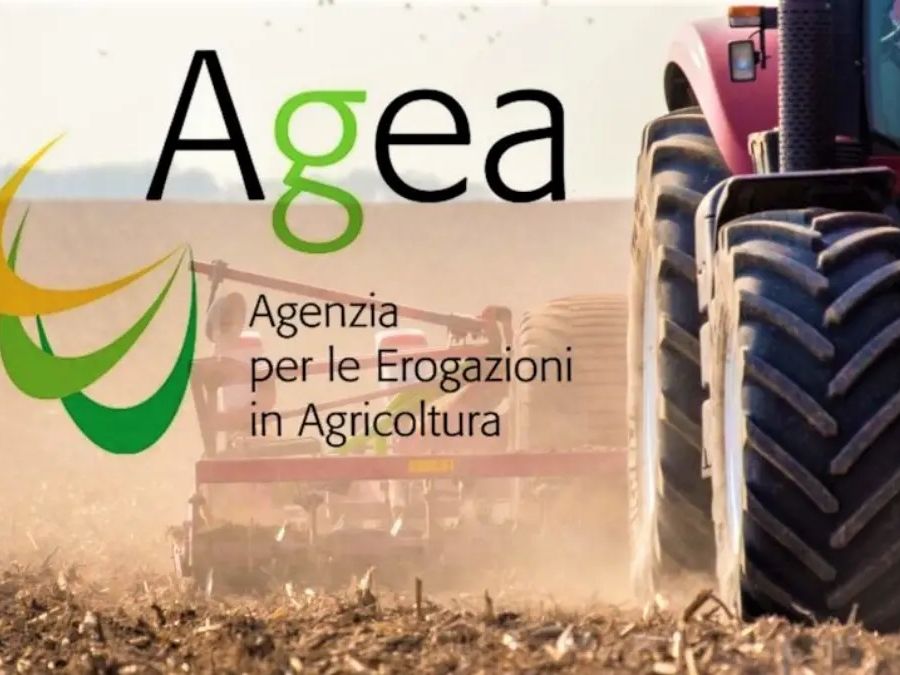 In arrivo quasi 1,6 milioni di euro per 272 aziende agricole valdostane