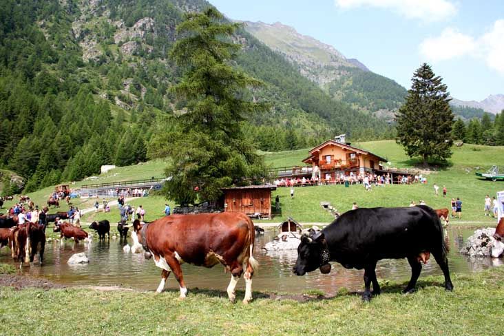 Incontro a Roma con i vertici di Agea sui sostegni all'agricoltura valdostana