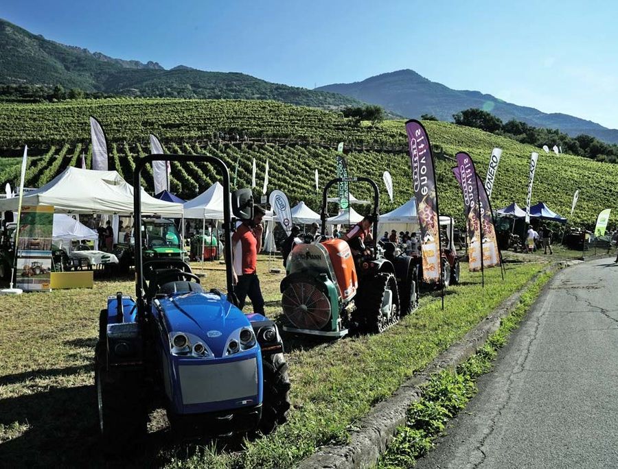 In corso la Campagna 2024 per buoni carburanti agricoli