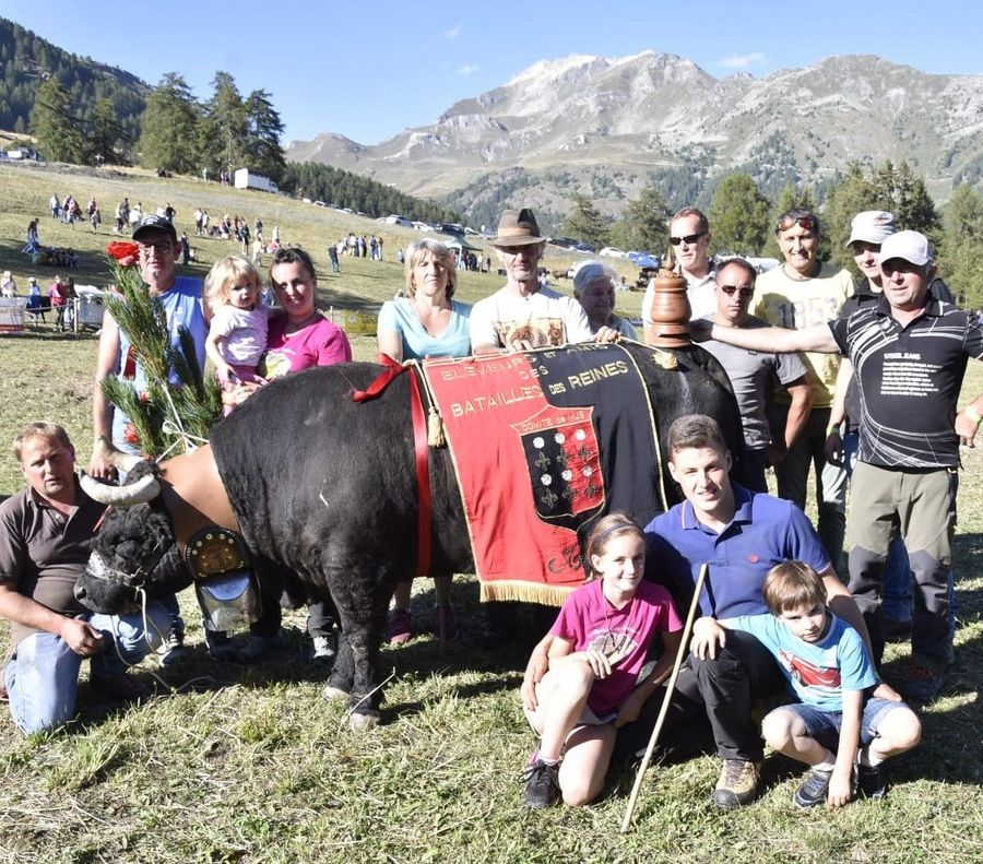 Batailles de Reines; Marquis torna dopo la squalifica e stravince a St-Barthélemy