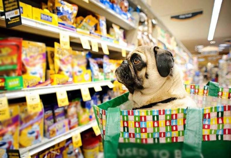 Come scegliere e capire il cibo commerciale del cane e del gatto