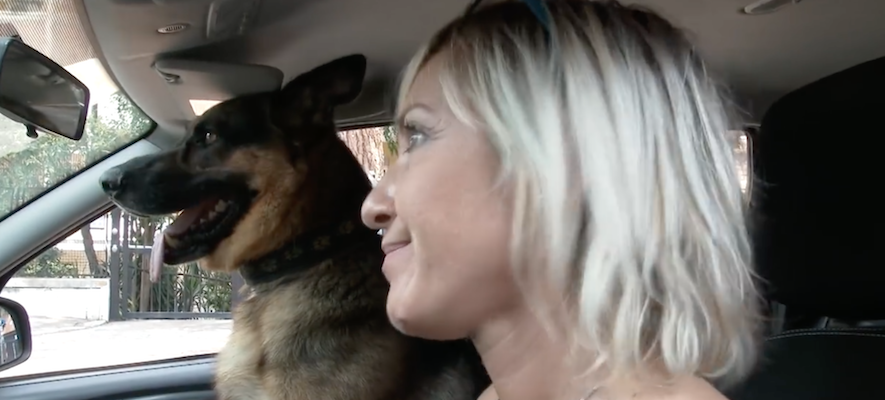 #senontiportononparto: la Polizia di Stato contro l'abbandono degli animali