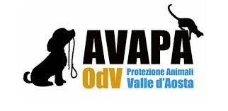 Porte aperte domenica al canile/gattile regionale