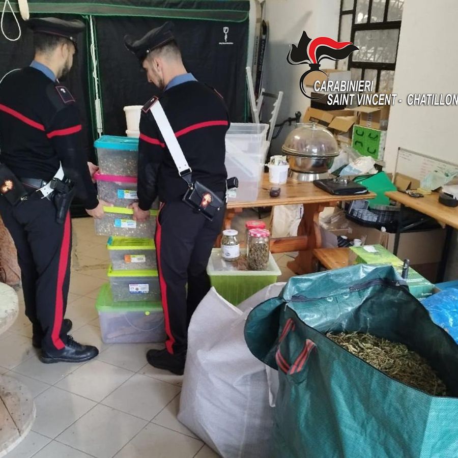 I carabinieri durante una fase del sequestro e, nella foto all'interno dell'articolo, parte della marijuana sequestrata