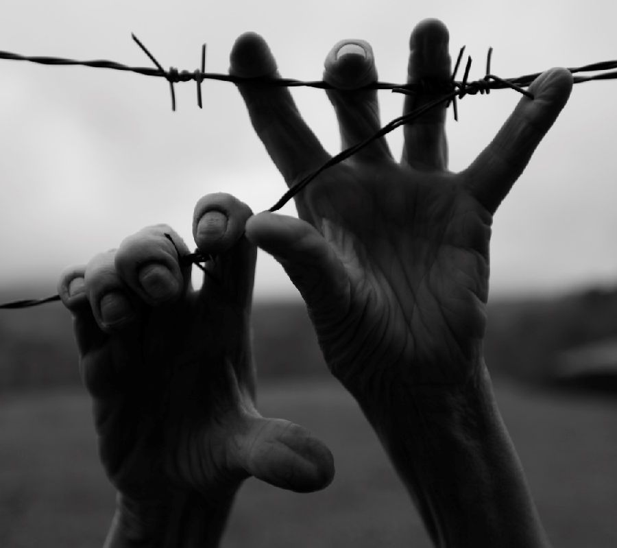 Giorno della Memoria; oggi 27 gennaio ricordiamo le vittime dell'Olocausto