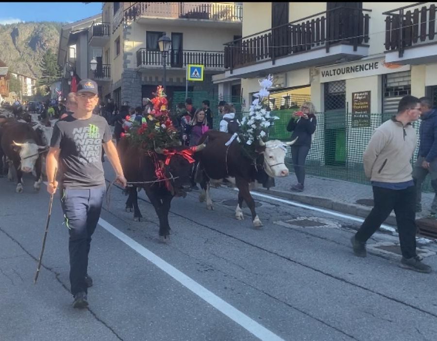 Valtournenche, emozioni e tradizione alla grande festa della Desarpa I VIDEO