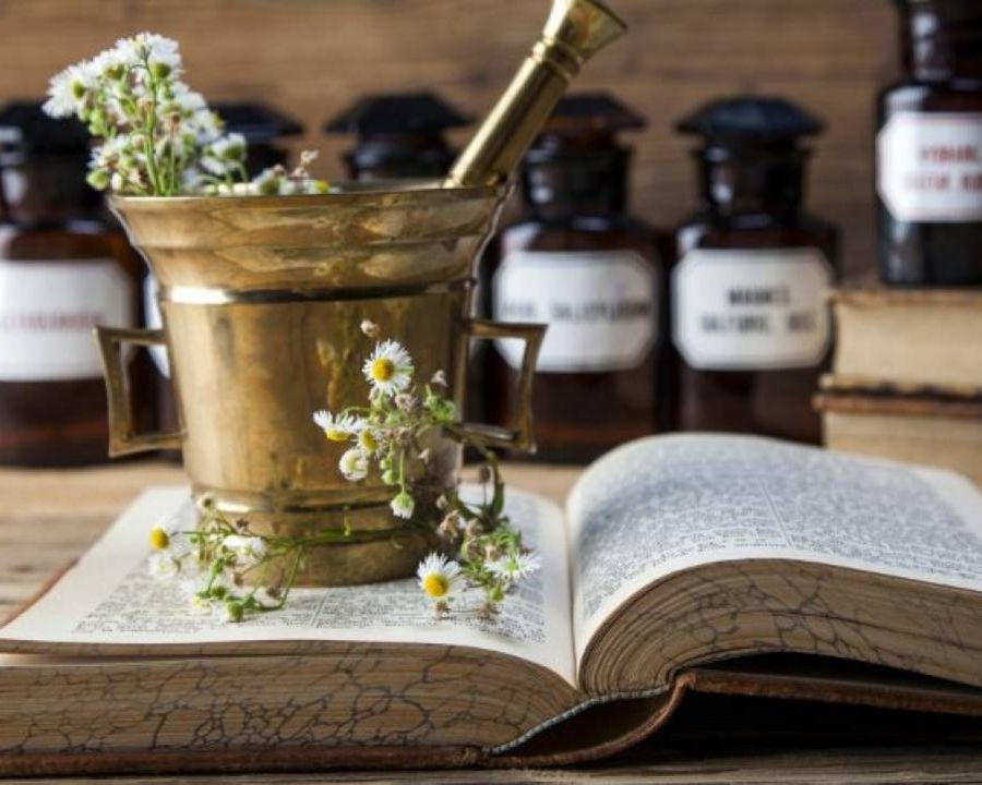 Appuntamento con la 'fitoterapia analogica' comodamente da casa tua