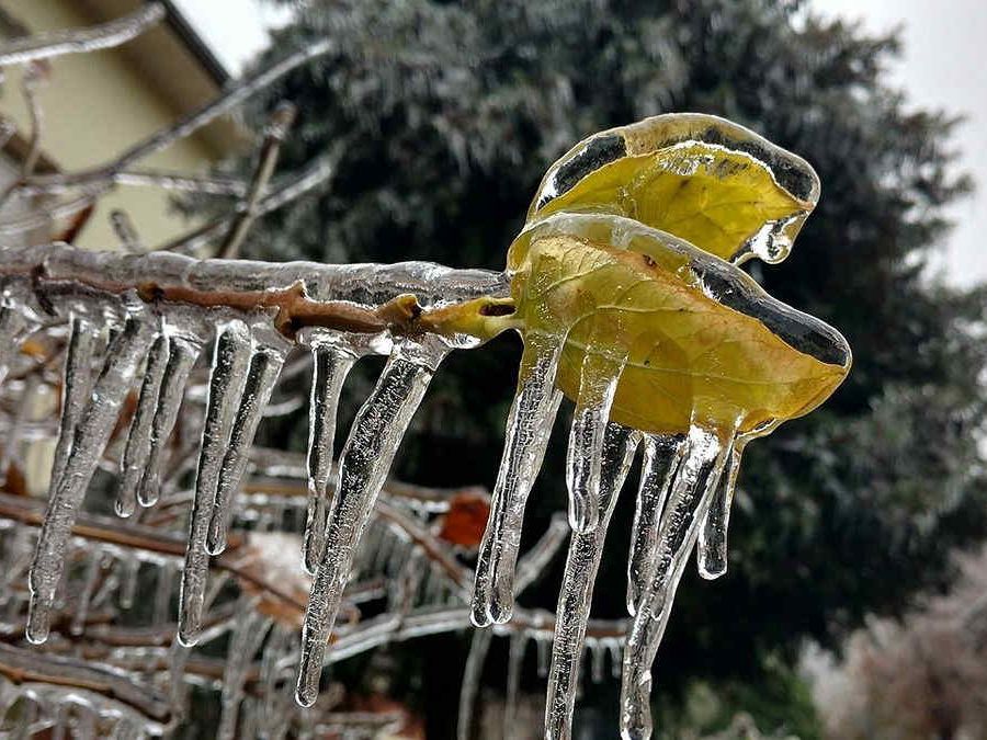 Possibile gelicidio in Valle d'Aosta nella giornata di domenica 5 gennaio