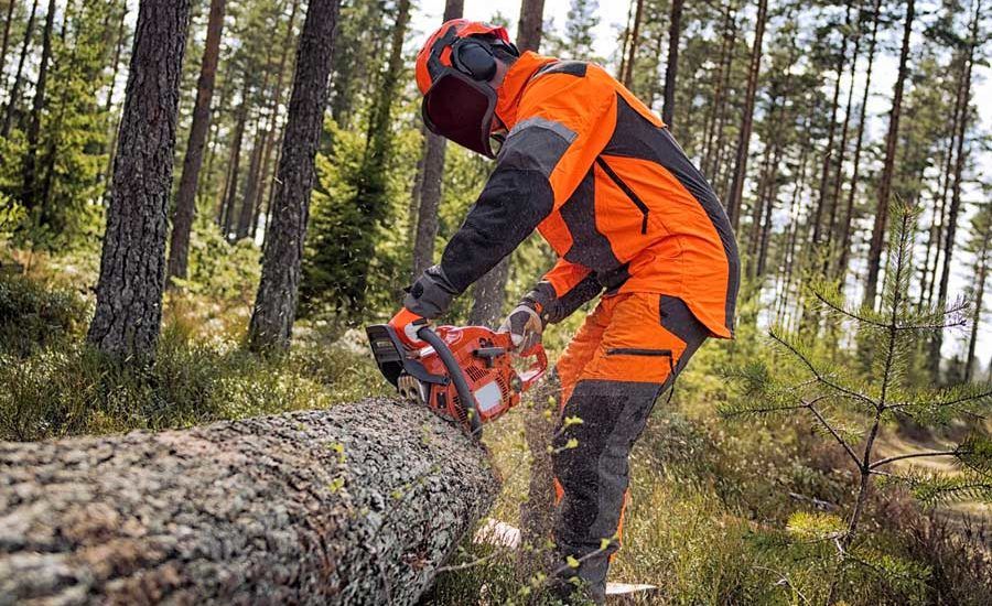 Avviata trattativa Regione-sindacati per rinnovo contratto forestali