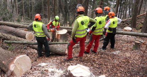 Al via la formazione di nuovi istruttori forestali in Valle d'Aosta