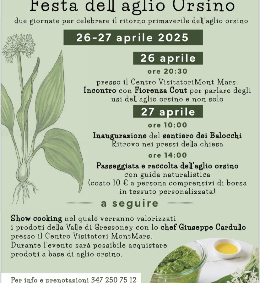 Festa dell’aglio orsino a Fontainemore, un weekend di natura, gusto e tradizione