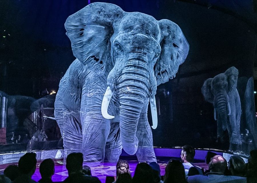 La 'grande magia' del circo Medini con animali olografici alla Croix Noire