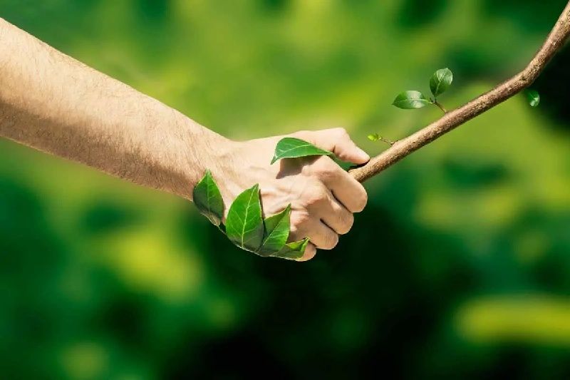 Herboplanet; il calendario webinar di gennaio, approfondimenti su salute e benessere