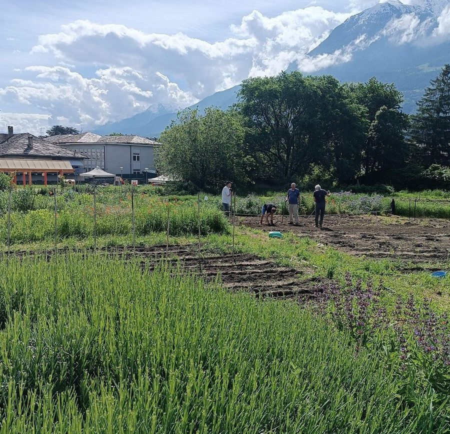 Ad Aosta c'è chi lavora per migliorare gli spazi urbani in relazione con la natura