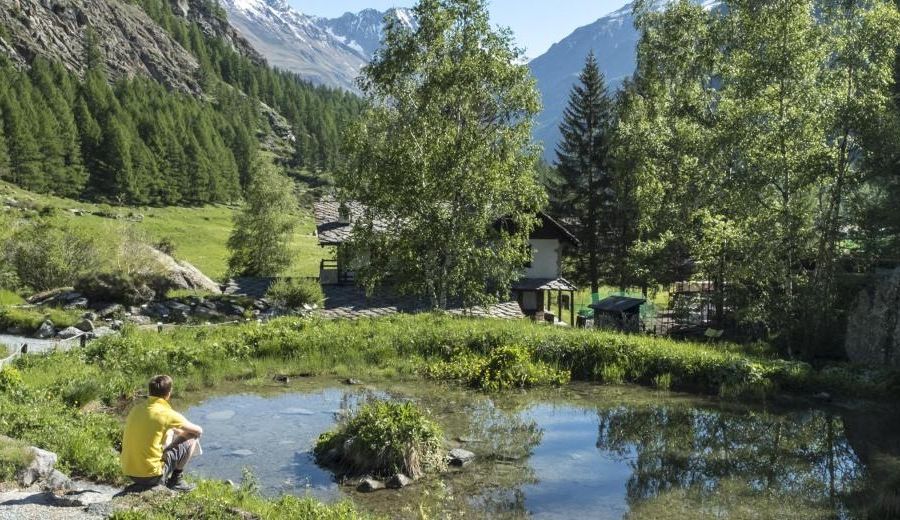 I 70 anni di Paradisia, giardino botanico del Parco nazionale Gran Paradiso