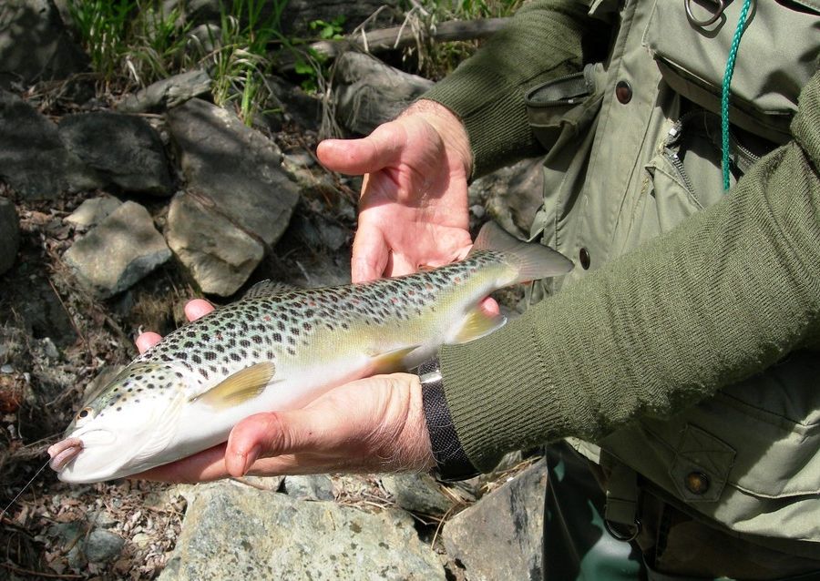 Pesca, in Valle due nuove riserve ittiche