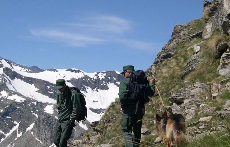 Bracconiere scoperto e catturato dai Guardaparco del PNGP