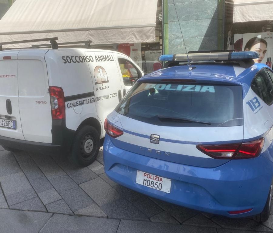 Sul posto anche polizia e soccorso animali