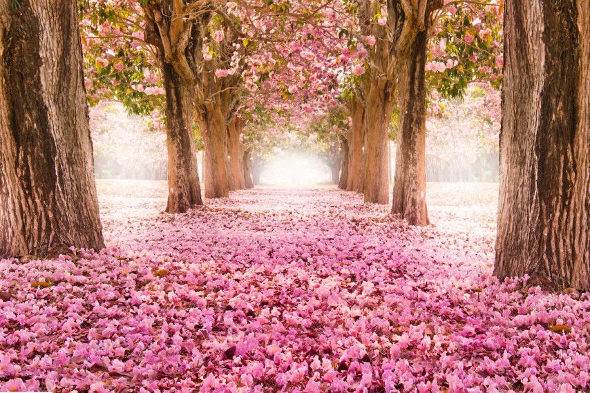 E' di nuovo primavera, siamo pronti al risveglio?