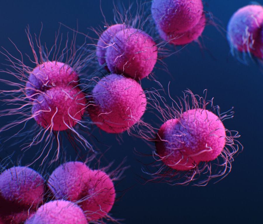 Il ruolo di alcuni estratti vegetali nel trattamento del colon irritabile