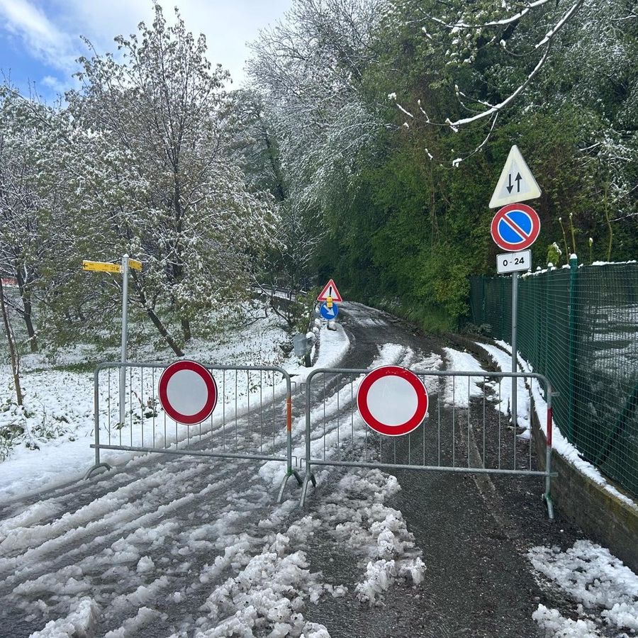 Aosta: pianta cade su linea elettrica, isolata la frazione 'La Comba'