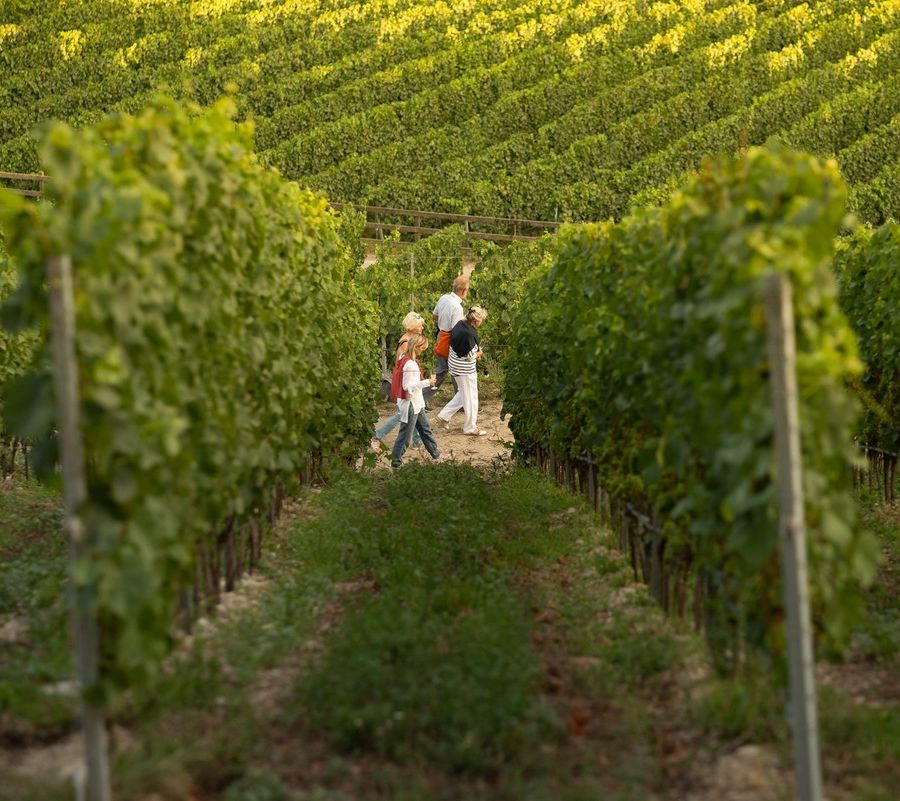 TraMonti diVini con Grosjean Vins
