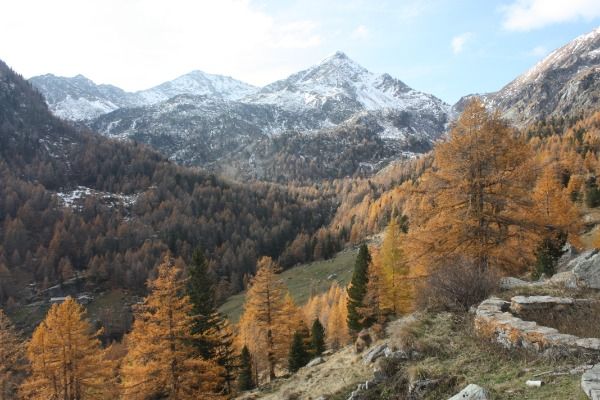 E' realtà il progetto DAHU per il recupero culturale e scientifico del Vallone di San Grato