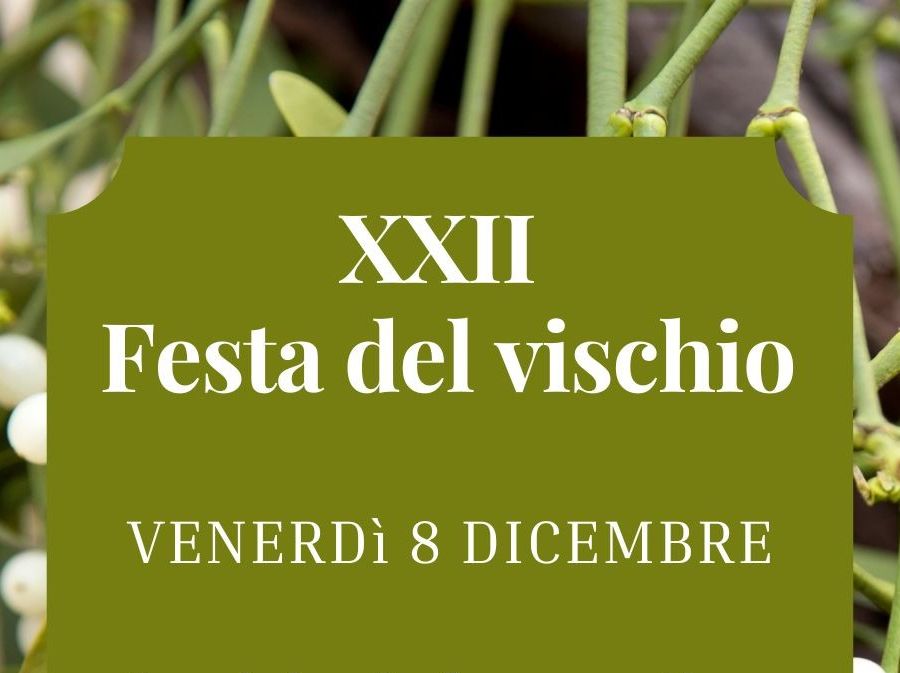 Con AnimaTerrae torna a Saint-Denis la Festa del Vischio