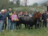 Euforie bosquet di terzo peso