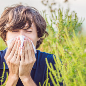 Affrontare le allergie con il Th2 e i probiotici