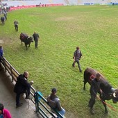 Valle d'Aosta e Piemonte sempre più unite nel rilancio del settore agropastorale