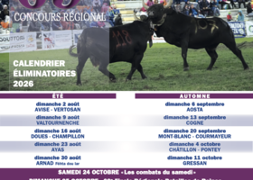Batailles de Reines e Fhéta dou Lar, domenica ad Arnad doppio appuntamento con la tradizione