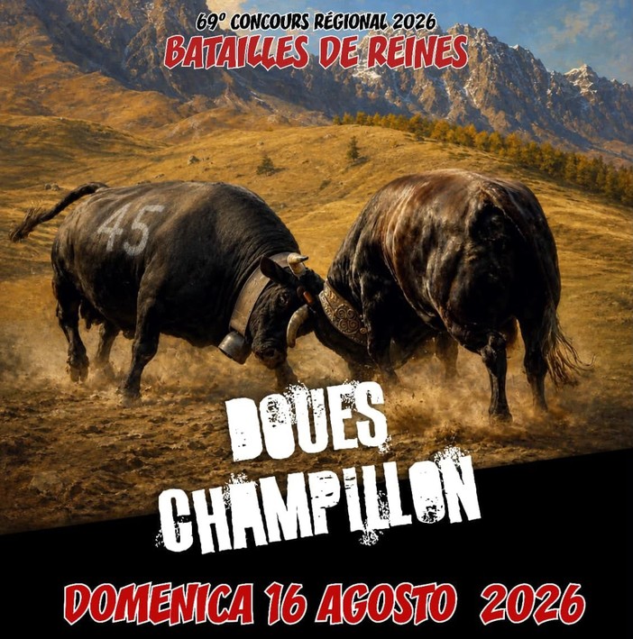 Batailles de Reines, domenica a Champillon 63 bovine in gara Batailles de Reines, domenica a Champillon 63 bovine in gara