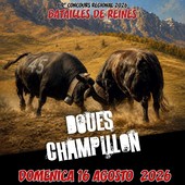 Batailles de Reines, domenica a Champillon 63 bovine in gara Batailles de Reines, domenica a Champillon 63 bovine in gara