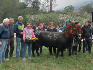 Euforie bosquet di terzo peso