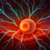 Immagine generata con IA